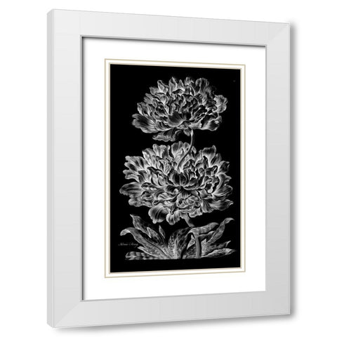 Heroic Peony White Modern Wood Framed Art Print with Double Matting by Hill, John