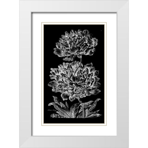 Heroic Peony White Modern Wood Framed Art Print with Double Matting by Hill, John