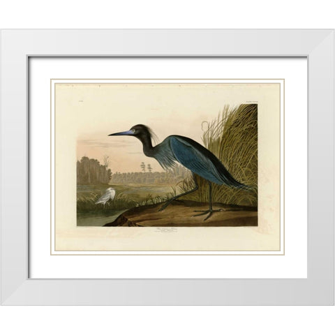 Blue Crane or Heron White Modern Wood Framed Art Print with Double Matting by Audubon, John James