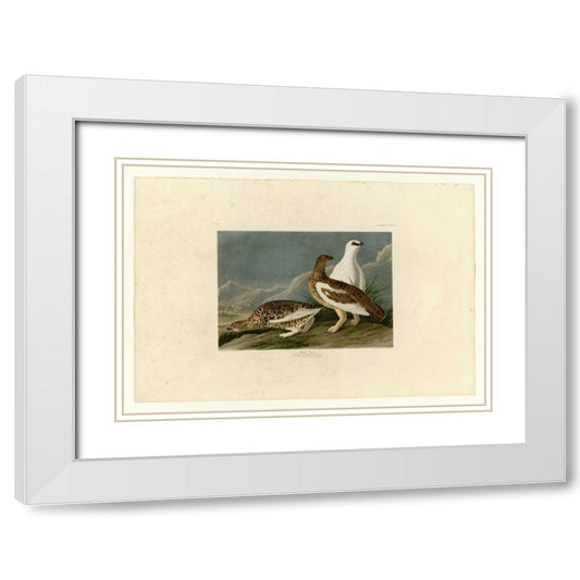 Perspective Image