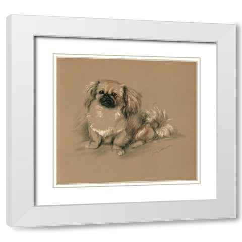 Pekinese, Koko White Modern Wood Framed Art Print with Double Matting by Dawson, Lucy