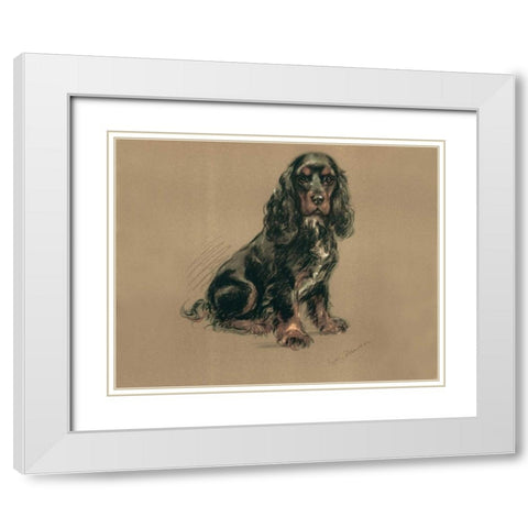 Spaniel White Modern Wood Framed Art Print with Double Matting by Dawson, Lucy