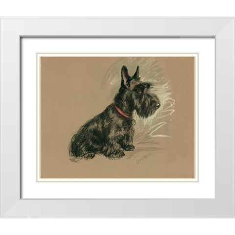 Scottish Terrier, Nanette White Modern Wood Framed Art Print with Double Matting by Dawson, Lucy