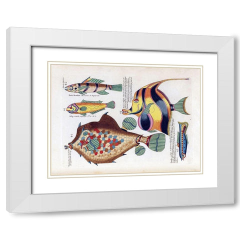 Tompombo White Modern Wood Framed Art Print with Double Matting by Renard, Louis