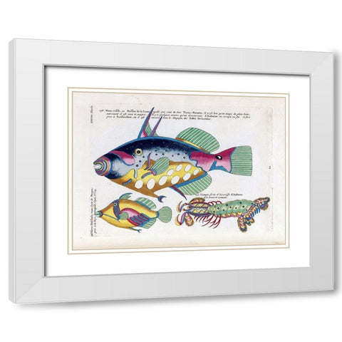 Poisson de la Lune White Modern Wood Framed Art Print with Double Matting by Renard, Louis