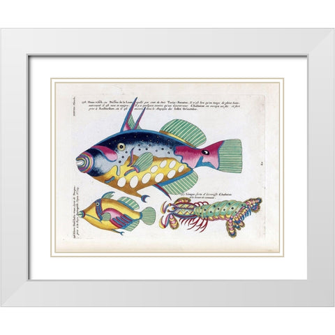 Poisson de la Lune White Modern Wood Framed Art Print with Double Matting by Renard, Louis