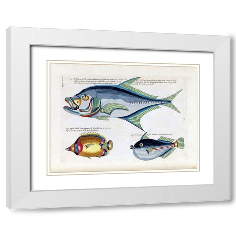 Babara White Modern Wood Framed Art Print with Double Matting by Renard, Louis
