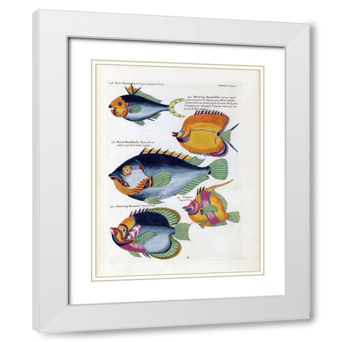 Petit Tompombo White Modern Wood Framed Art Print with Double Matting by Renard, Louis