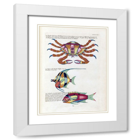 Crabbe Marinne D Amboine White Modern Wood Framed Art Print with Double Matting by Renard, Louis