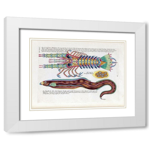 Ecrevisses des Montagnes White Modern Wood Framed Art Print with Double Matting by Renard, Louis