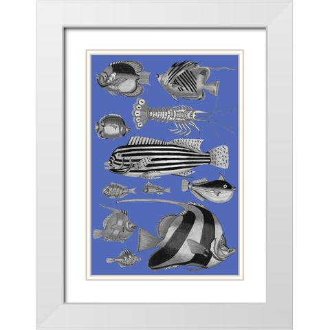Tropical Fish Collage 1-Blue Blackground White Modern Wood Framed Art Print with Double Matting by Renard, Louis