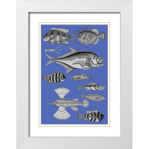 Tropical Fish Collage 2-Blue Background White Modern Wood Framed Art Print with Double Matting by Renard, Louis