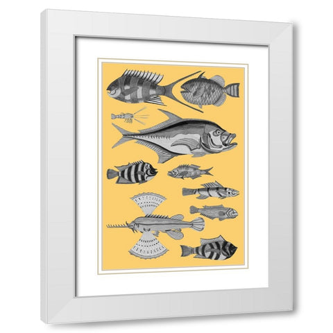 Tropical Fish Collage 2-Yellow Background White Modern Wood Framed Art Print with Double Matting by Renard, Louis