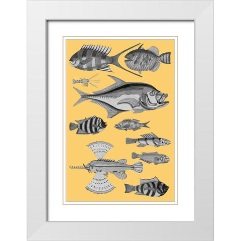 Tropical Fish Collage 2-Yellow Background White Modern Wood Framed Art Print with Double Matting by Renard, Louis