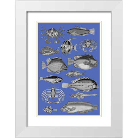 Tropical Fish Collage 3-Blue Background White Modern Wood Framed Art Print with Double Matting by Renard, Louis