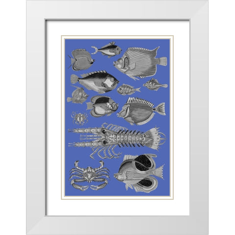 Tropical Fish Collage 4-Blue Background White Modern Wood Framed Art Print with Double Matting by Renard, Louis