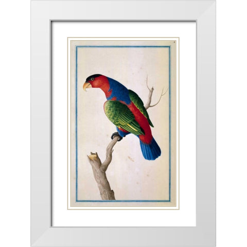 Lory, Left facing White Modern Wood Framed Art Print with Double Matting by De Bevere, Pieter