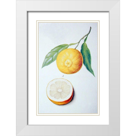 Orange White Modern Wood Framed Art Print with Double Matting by Ledoulx, Pierre