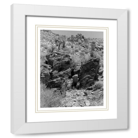 Twentynine Palms, San Bernadino, c1910 White Modern Wood Framed Art Print with Double Matting by Anonymous