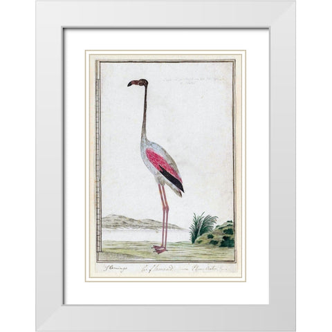 Flamingo White Modern Wood Framed Art Print with Double Matting by Gordon, Robert James