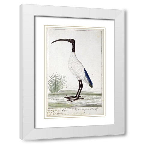 White Bird White Modern Wood Framed Art Print with Double Matting by Gordon, Robert James