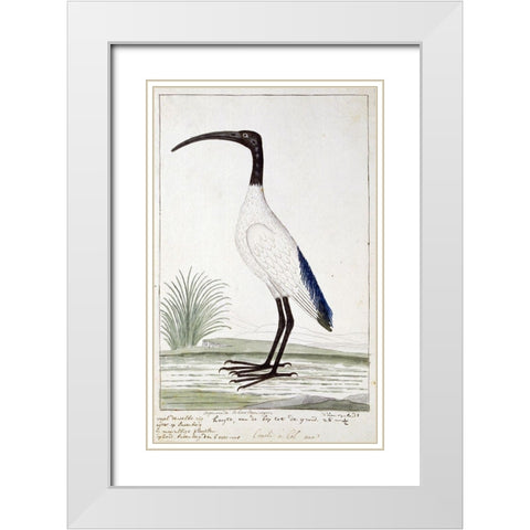 White Bird White Modern Wood Framed Art Print with Double Matting by Gordon, Robert James