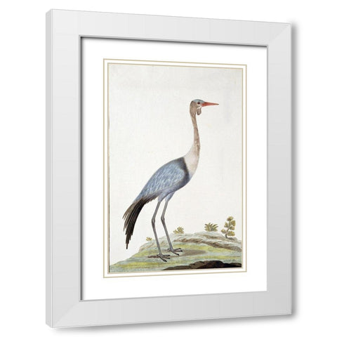 Crane White Modern Wood Framed Art Print with Double Matting by Gordon, Robert James