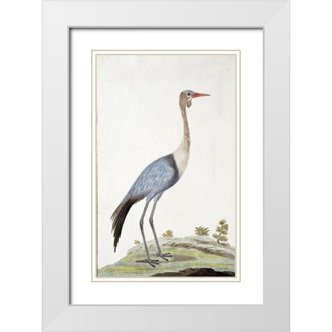 Crane White Modern Wood Framed Art Print with Double Matting by Gordon, Robert James