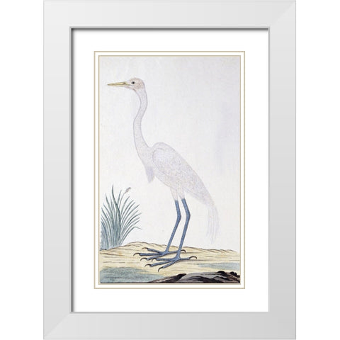 Egret White Modern Wood Framed Art Print with Double Matting by Gordon, Robert James