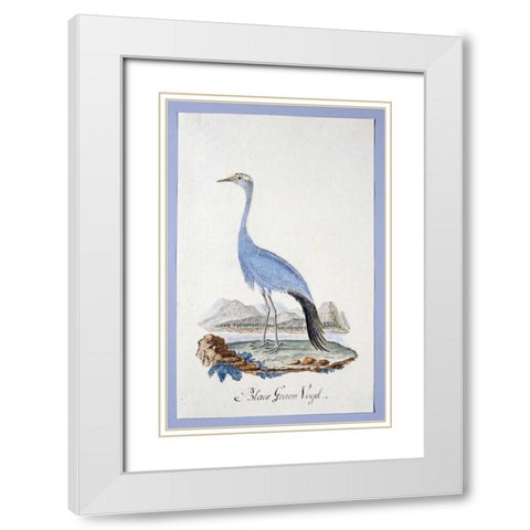 Blue Bird White Modern Wood Framed Art Print with Double Matting by Gordon, Robert J.