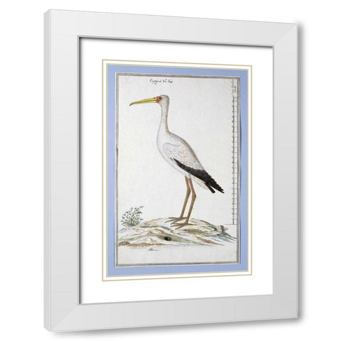Stork White Modern Wood Framed Art Print with Double Matting by Gordon, Robert J.
