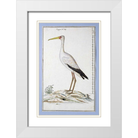 Stork White Modern Wood Framed Art Print with Double Matting by Gordon, Robert J.