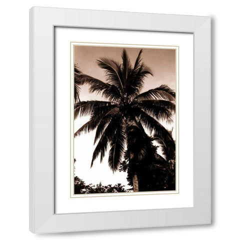 Coconut Palm, Bali White Modern Wood Framed Art Print with Double Matting by Blue, Cyril