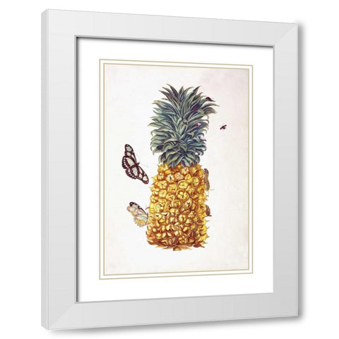Pineapple, Butterflies, plate 11 White Modern Wood Framed Art Print with Double Matting by Merian, Sybilla