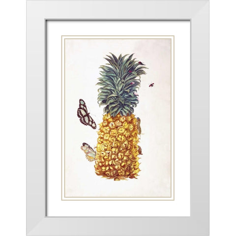 Pineapple, Butterflies, plate 11 White Modern Wood Framed Art Print with Double Matting by Merian, Sybilla