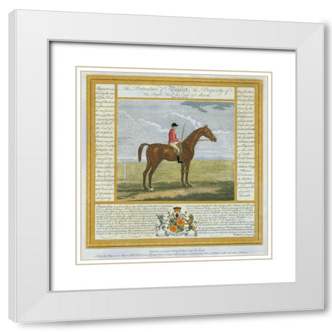 Portrait and Pedigree, Bajazet White Modern Wood Framed Art Print with Double Matting by Spencer, Thomas