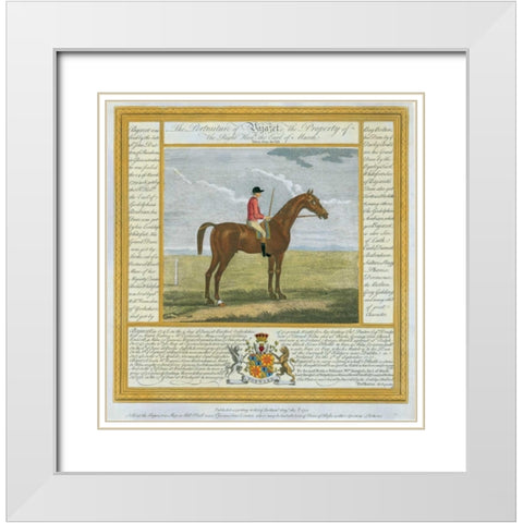 Portrait and Pedigree, Bajazet White Modern Wood Framed Art Print with Double Matting by Spencer, Thomas