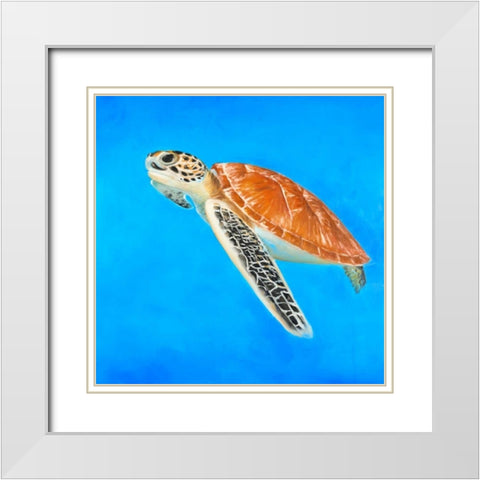 Sea Turtle White Modern Wood Framed Art Print with Double Matting by Atelier B Art Studio