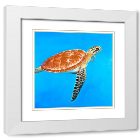 Green Aquatic Turtle White Modern Wood Framed Art Print with Double Matting by Atelier B Art Studio