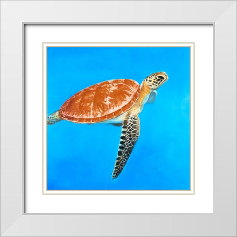 Green Aquatic Turtle White Modern Wood Framed Art Print with Double Matting by Atelier B Art Studio