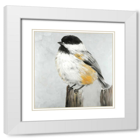 Coal Tit Bird White Modern Wood Framed Art Print with Double Matting by Atelier B Art Studio