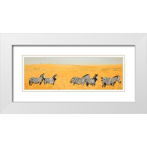 Herd of Zebra White Modern Wood Framed Art Print with Double Matting by Atelier B Art Studio