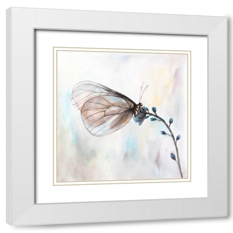 Aporia Crataegi Butterfly White Modern Wood Framed Art Print with Double Matting by Atelier B Art Studio
