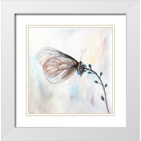 Aporia Crataegi Butterfly White Modern Wood Framed Art Print with Double Matting by Atelier B Art Studio