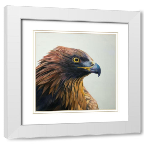BROWN-HEADED EAGLE White Modern Wood Framed Art Print with Double Matting by Atelier B Art Studio