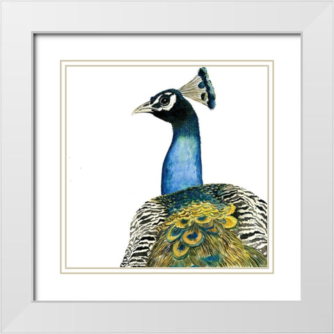 WATERCOLOR PEACOCK White Modern Wood Framed Art Print with Double Matting by Atelier B Art Studio