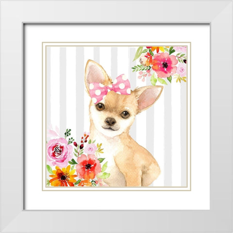 CHIHUAHUA DOG White Modern Wood Framed Art Print with Double Matting by Atelier B Art Studio