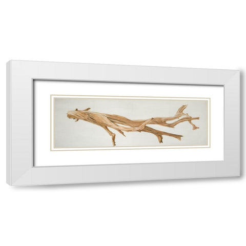 FLOATED WOOD White Modern Wood Framed Art Print with Double Matting by Atelier B Art Studio