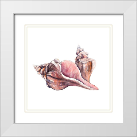 HORSE CONCH SEASHELLS White Modern Wood Framed Art Print with Double Matting by Atelier B Art Studio