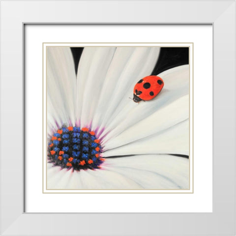 White Daisy and Ladybug White Modern Wood Framed Art Print with Double Matting by Atelier B Art Studio